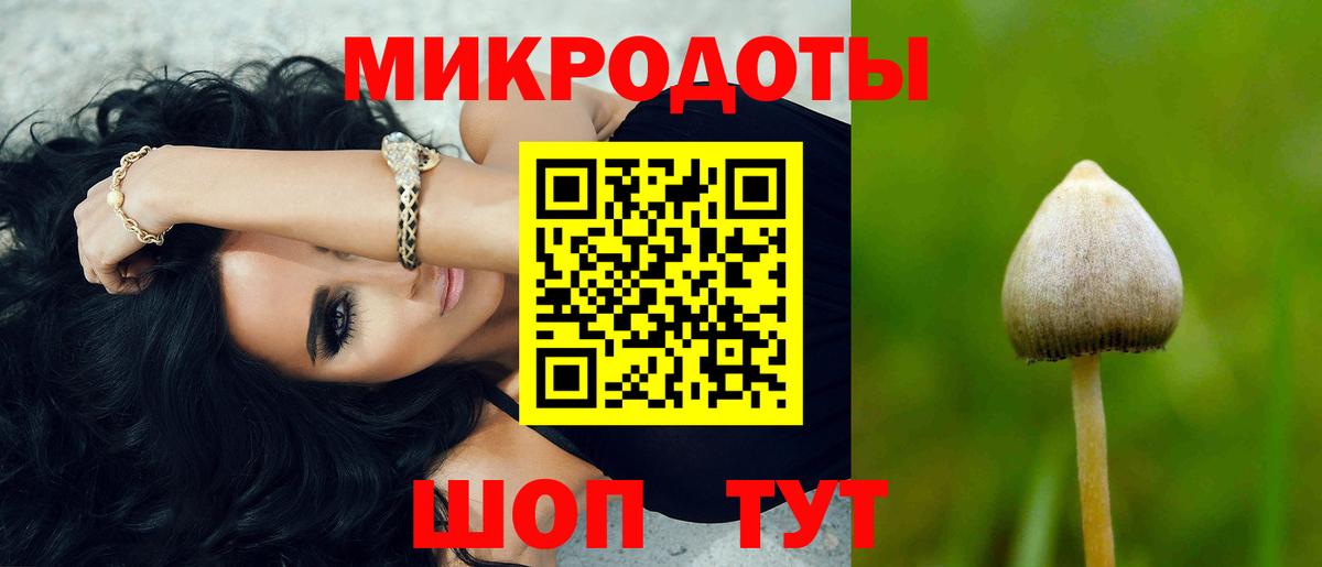 Псилоцибиновые грибы Cubensis Иркутск